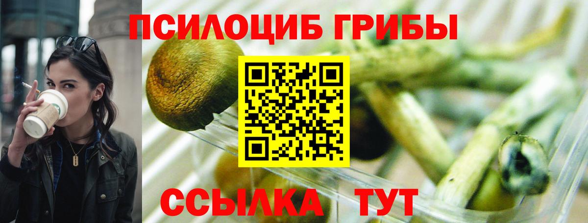 Галлюциногенные грибы GOLDEN TEACHER  Псилоцибиновые грибы мухоморы  Вход с VPN  Рязань 